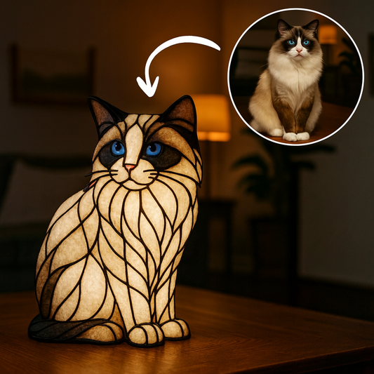 Luminous - Ragdoll v2